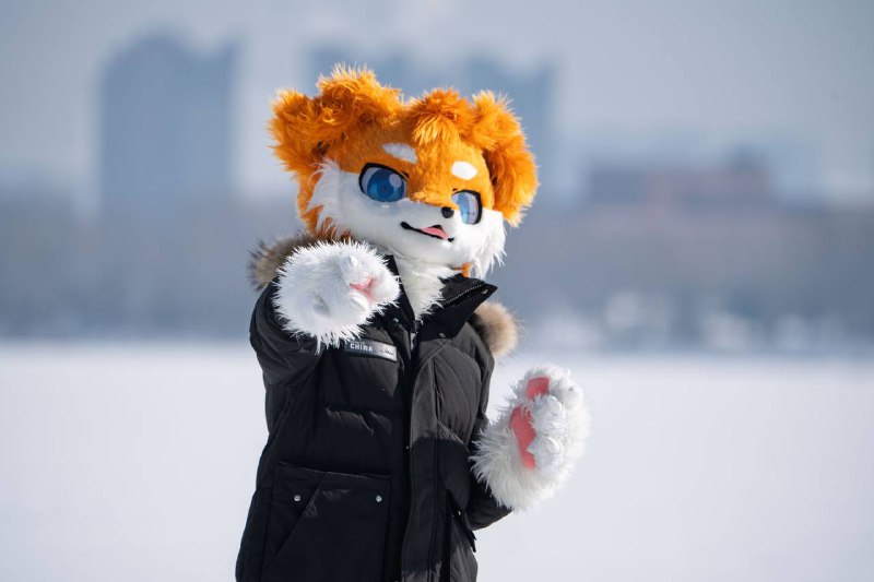 拍福瑞是否也可以发发拍福瑞是否也可以发发