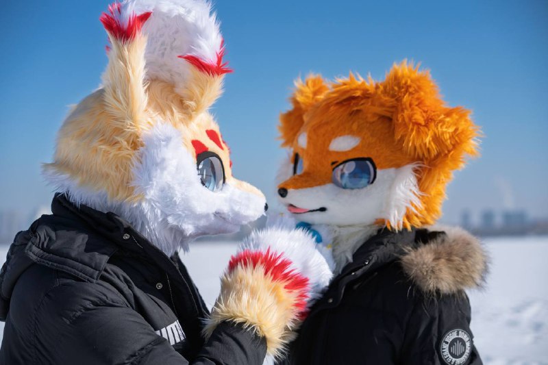 拍福瑞是否也可以发发拍福瑞是否也可以发发