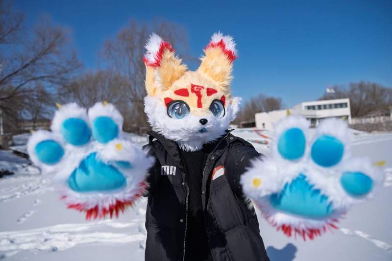 拍福瑞是否也可以发发拍福瑞是否也可以发发