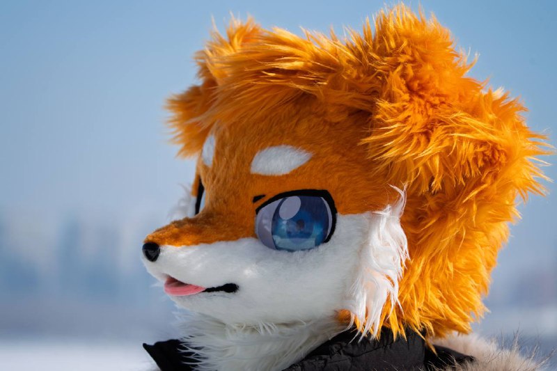 拍福瑞是否也可以发发拍福瑞是否也可以发发