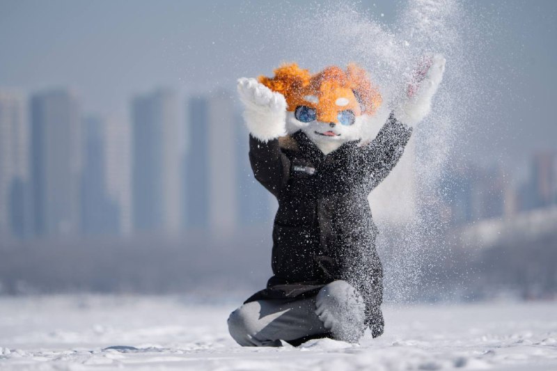 拍福瑞是否也可以发发拍福瑞是否也可以发发