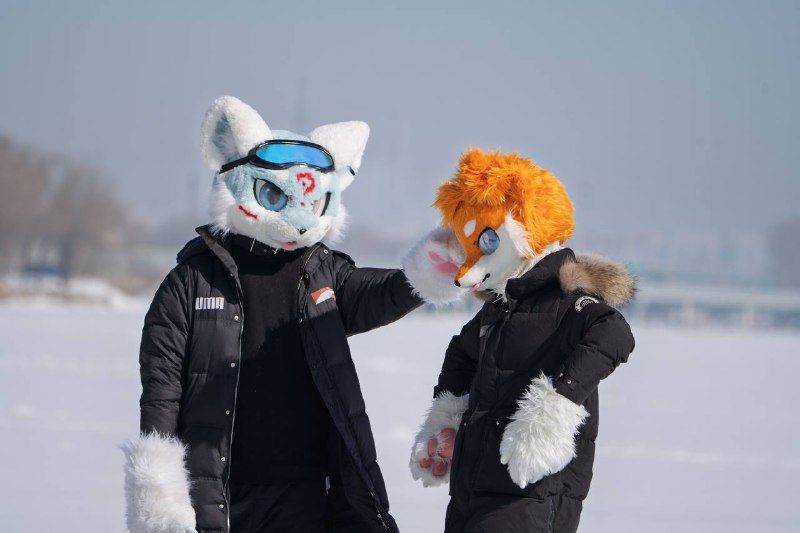 拍福瑞是否也可以发发拍福瑞是否也可以发发