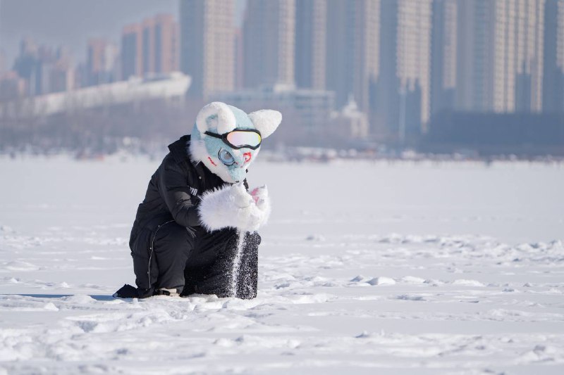 拍福瑞是否也可以发发拍福瑞是否也可以发发