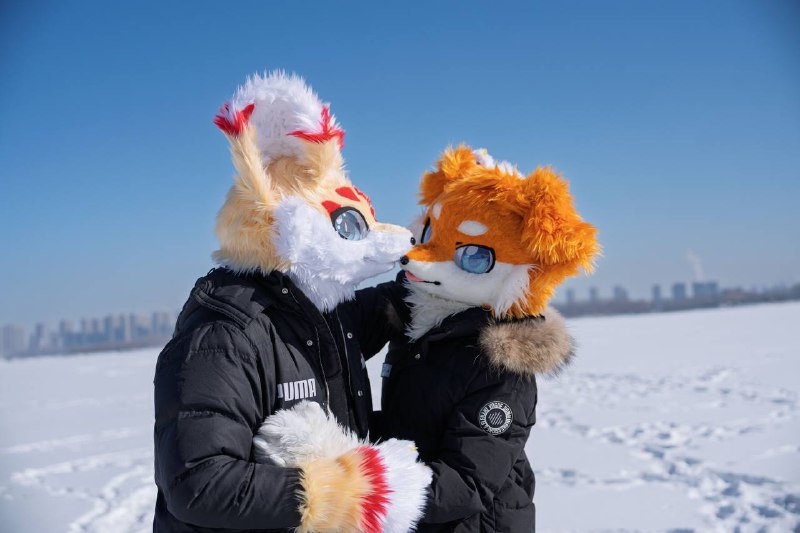 拍福瑞是否也可以发发拍福瑞是否也可以发发